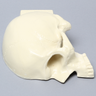 Skull, Left Partial, Foam Cortical, with Vise Attachment