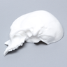 Skull, Left Partial, White Plastic