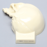 Skull, Left Partial, Solid Foam, with Vise Attachment