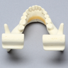 Mandible with Solid Teeth and Sagittal Fracture