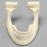 Mandible with Drill Holes, Foam Cortical Shell