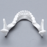 Mandible with Teeth, Solid White Plastic