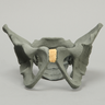 Pelvis with Radiopaque Properties, Pediatric Full