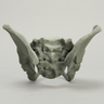 Pelvis with Radiopaque Properties, Pediatric Full