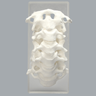 Spine, Cervical, Non-slip Block, Solid Foam