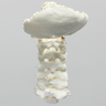 Spine, Cervical with Occipital, Posterior Ligament, and Tan Discs, Solid Foam