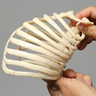 SYMBA™ Articulated Rib Cage System with Holder