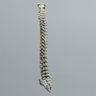 Spine, Pediatric, Full, Radiopaque