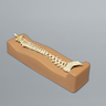 Spine, Pediatric, Full, Solid Foam