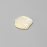 Bone Slurry, 2 to 4 mm