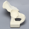Hemi Pelvis with Segmental Defect, Solid Foam, Left