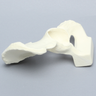 Hemi Pelvis with Global Defect, Solid Foam, Left