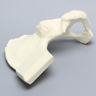 Hemi Pelvis with Dysplasia, Solid Foam, Right