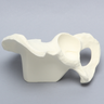 Hemi Pelvis with 64 mm Acetabulum, Solid Foam, Left