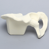 Hemi Pelvis with 52 mm Acetabulum, Left