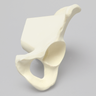 Hemi Pelvis, Light Density, Solid Foam, Left
