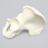 Hemi Pelvis, Light Density, Solid Foam, Left