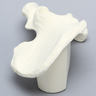 Hemi Pelvis with 54mm Acetabulum, Solid Foam, Left