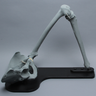 Hip Assembly with Radiopaque Properties on Stand, Male