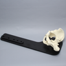 Pelvis on Stand, Full Male, Solid Foam