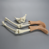Hip and Leg Assembly with Soft Tissue on Feet