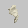 Sacrum, Male, Foam Cortical