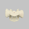 Sacrum, Male, Foam Cortical