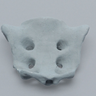 Sacrum, Radiopaque