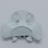 Sacrum, Radiopaque