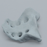 Sacrum, Radiopaque