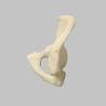 Hemi Pelvis with 57mm Acetabulum, Foam Cortical, Right
