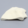 Iliac Crest, Male, Solid Foam, Right