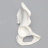 Hemi Pelvis, Female, Solid White Plastic, Right