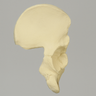 Hemi Pelvis, Pediatric, Solid Foam, Right