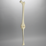 Knee with Three Stretch Cord Ligaments and Light Density Cancellous, Full Length
