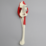 Hemi Pelvis with Erosion, Muscles, and Torn Labrum