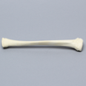 Tibia with Epiphyseal Line, Pediatric