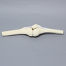 Knee Joint with Patella and Four Non-Stretch Ligaments, Solid Foam, Right, Medium