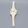 Knee Joint with Patella and Four Non-Stretch Ligaments, Solid Foam, Right, Medium