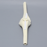 Knee Joint with Patella and Four Non-Stretch Ligaments, Solid Foam, Right, Medium