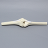 Knee Joint with Patella and Four Non-Stretch Ligaments, Solid Foam, Right, Medium