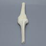 Knee Joint with Stretch Cord Collateral Ligaments and ACL Guide Holes, Solid Foam