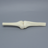 Knee Joint with Stretch Cord Collateral Ligaments and ACL Guide Holes, Solid Foam