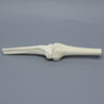 Knee Joint with Stretch Cord Collateral Ligaments and ACL Guide Holes, Solid Foam