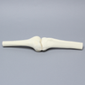 Knee Joint with Four Non-Stretch Ligaments, Solid Foam, Medium