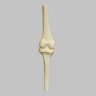 Knee Joint with Four Non-Stretch Ligaments, Solid Foam, Medium