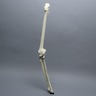 Knee with Fibula and Three Stretch Cord Ligaments, Full Length, Arthritic