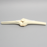 Knee Joint with Patella, Narrow Intercondylar Notch, and Four Stretch Tube Ligaments