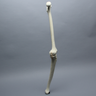 Knee with Three Stretch Tube Ligaments and Thicker Cortex, Full Length