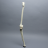 Knee with Three Stretch Tube Ligaments and Thicker Cortex, Full Length